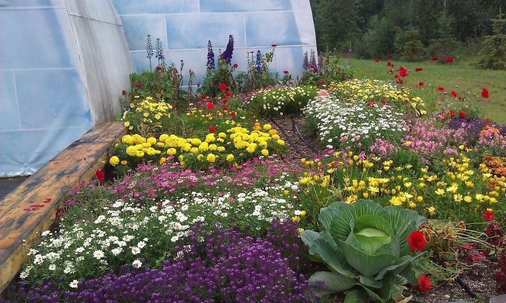 Chena Hot Springs Resort 费尔班克斯 外观 照片