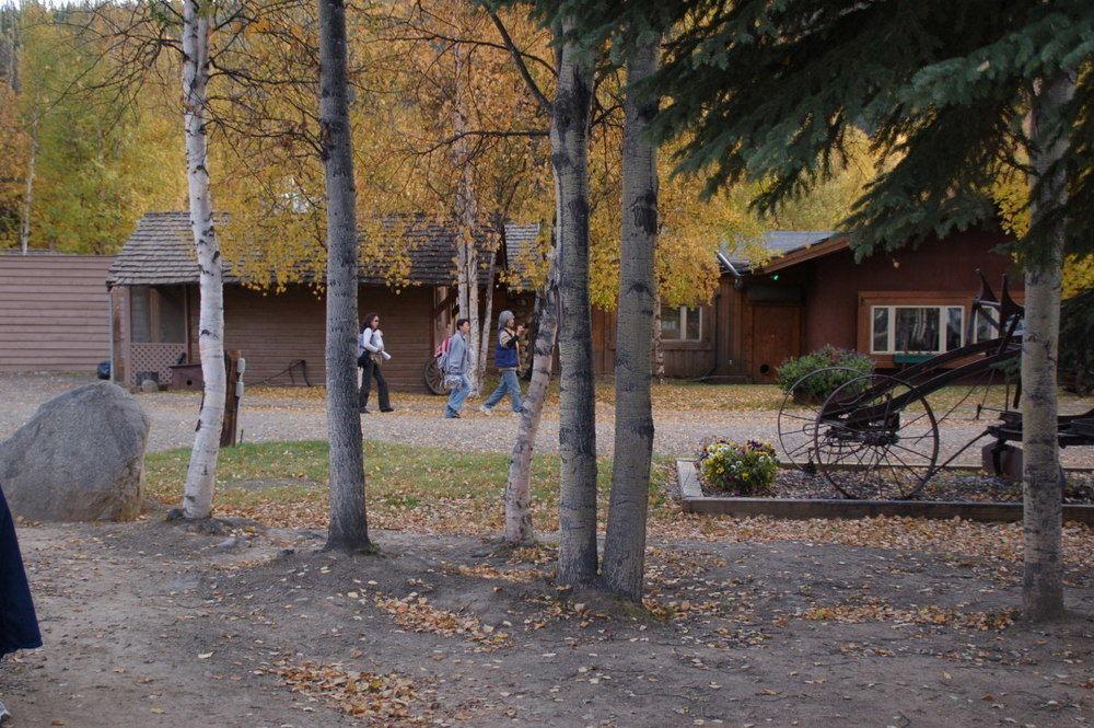 Chena Hot Springs Resort 费尔班克斯 外观 照片